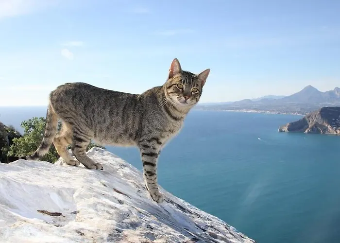 Apartamento Capri - Plusholidays *